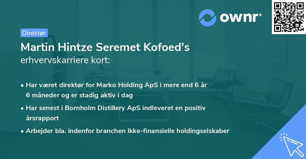 Martin Hintze Seremet Kofoed's erhvervskarriere kort