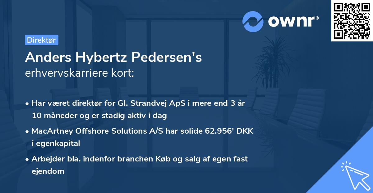Anders Hybertz Pedersen's erhvervskarriere kort