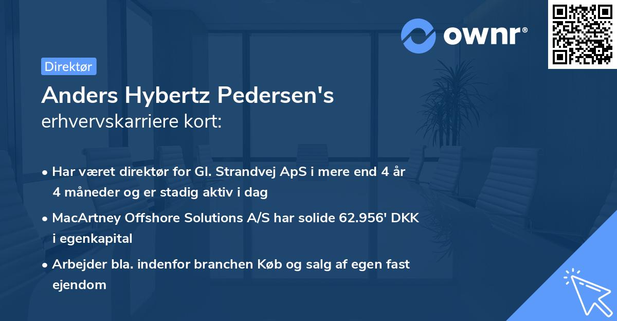 Anders Hybertz Pedersen's erhvervskarriere kort