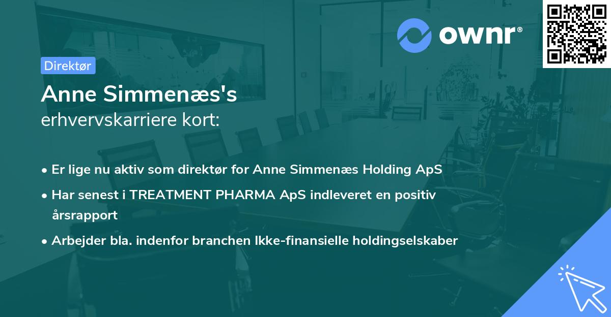 Anne Simmenæs's erhvervskarriere kort