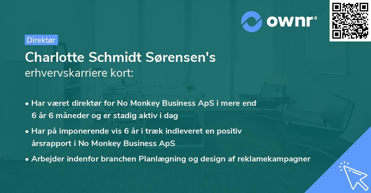Charlotte Schmidt Sørensen's erhvervskarriere kort