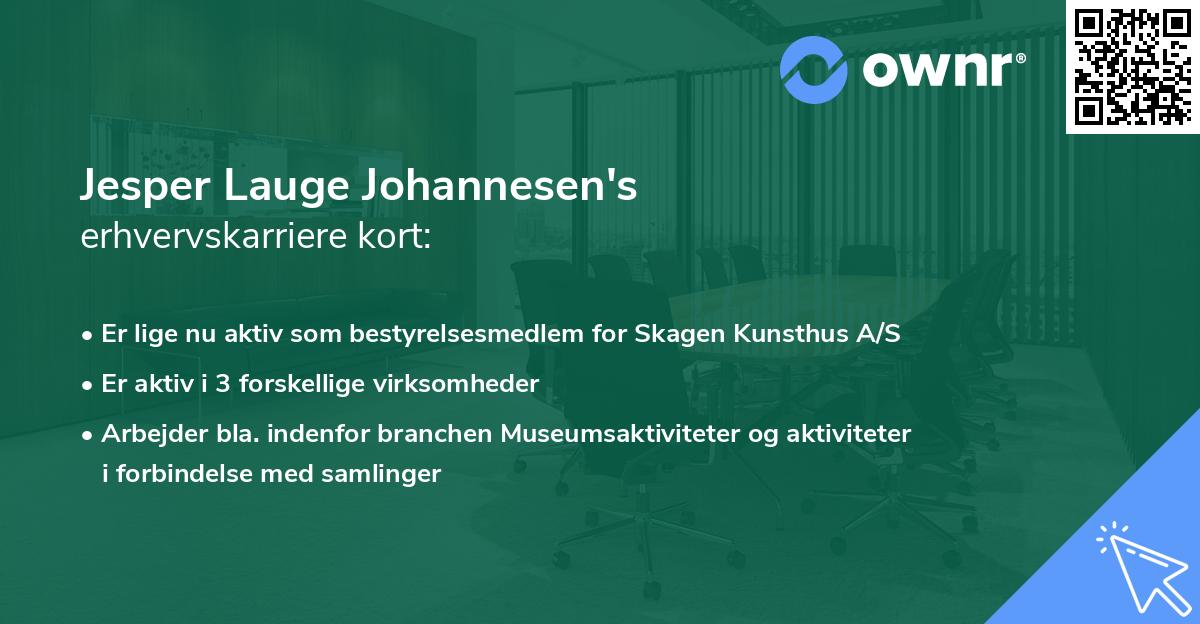 Jesper Lauge Johannesen's erhvervskarriere kort