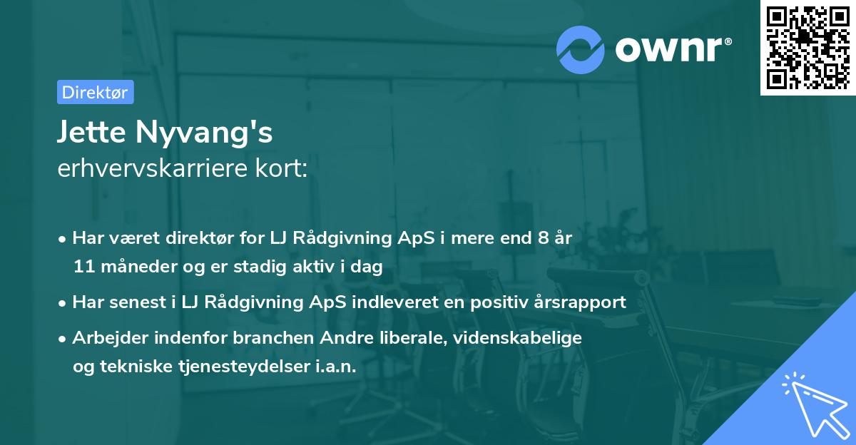 Jette Nyvang's erhvervskarriere kort