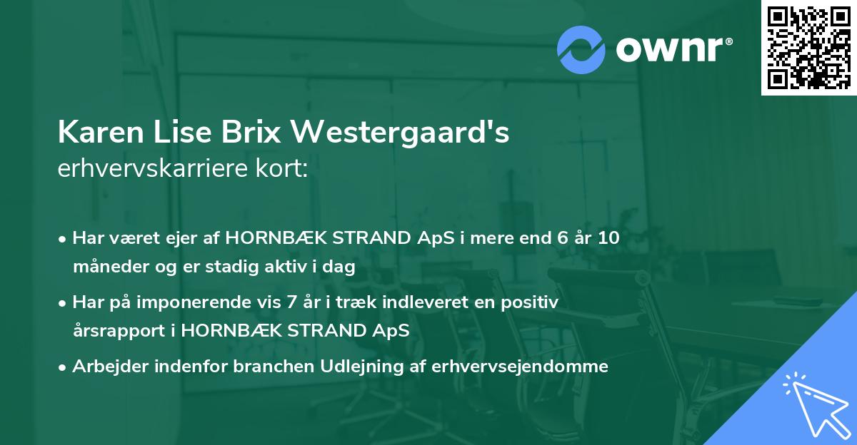 Karen Lise Brix Westergaard's erhvervskarriere kort