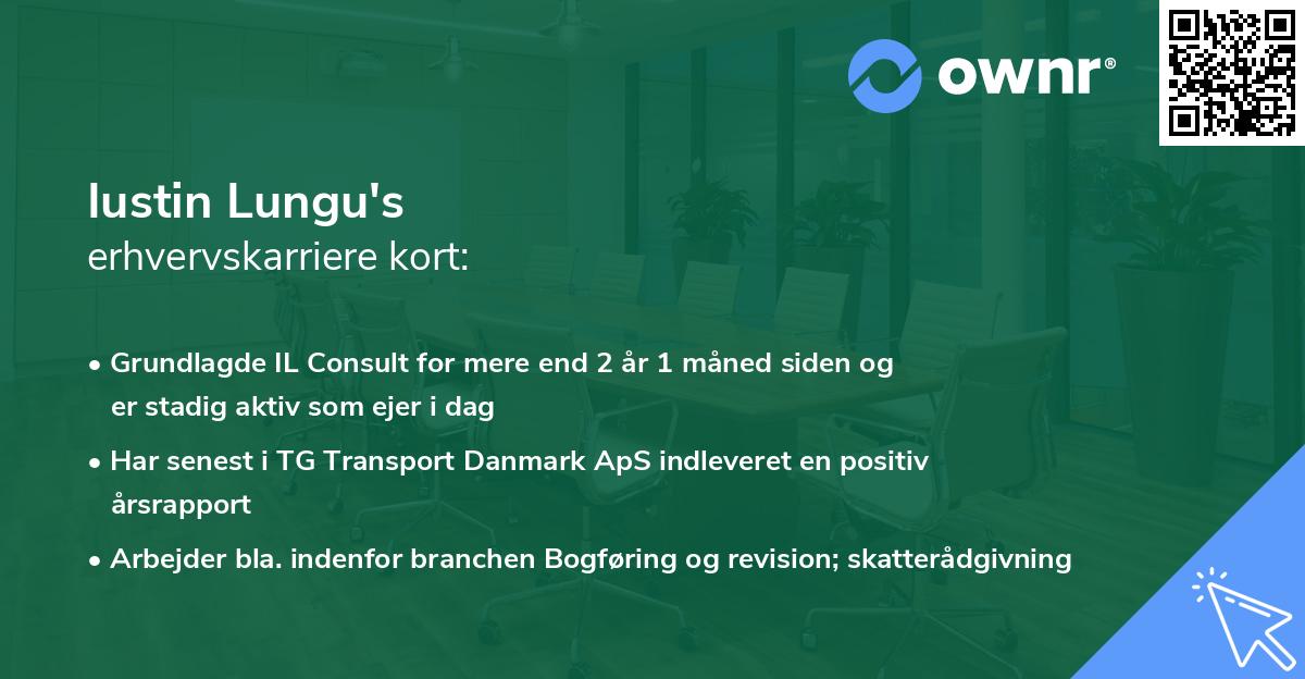 Iustin Lungu's erhvervskarriere kort