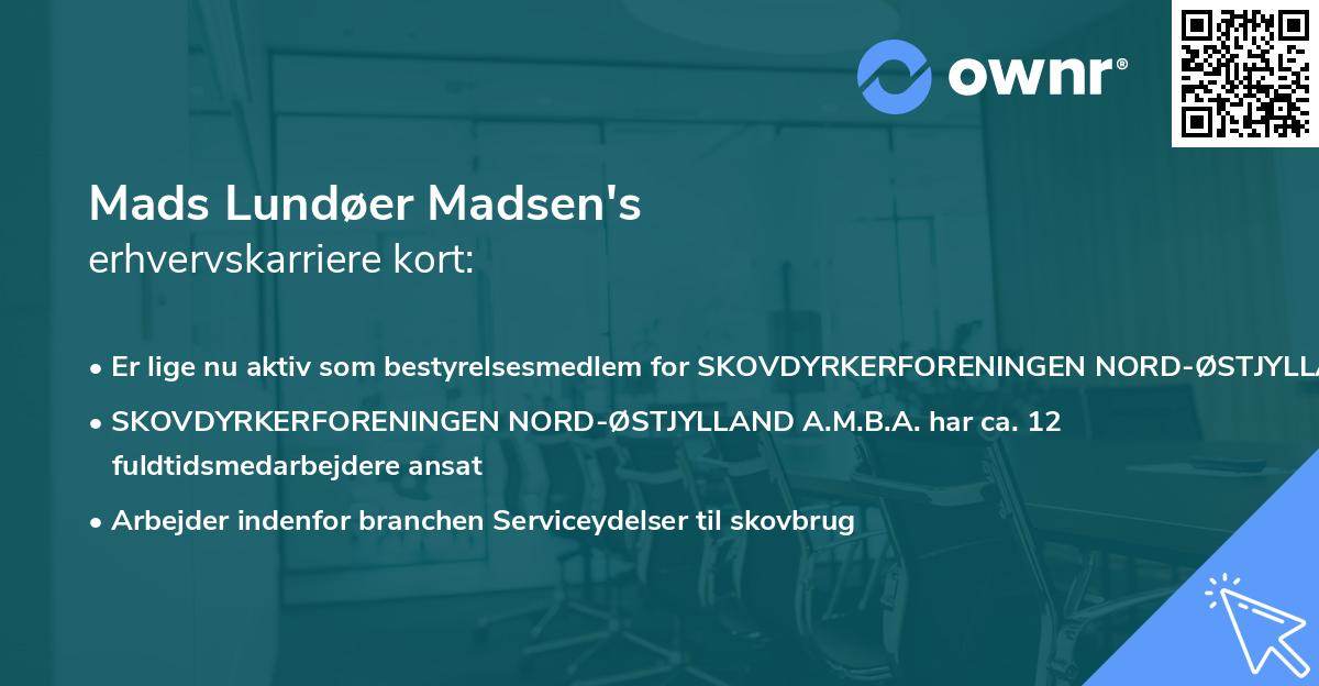 Mads Lundøer Madsen's erhvervskarriere kort