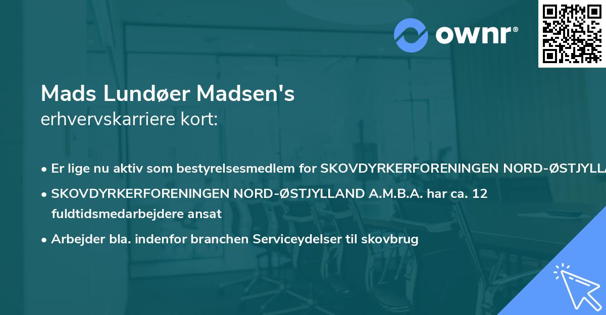 Mads Lundøer Madsen's erhvervskarriere kort