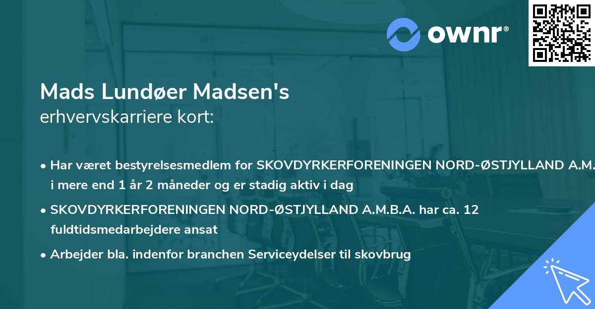 Mads Lundøer Madsen's erhvervskarriere kort