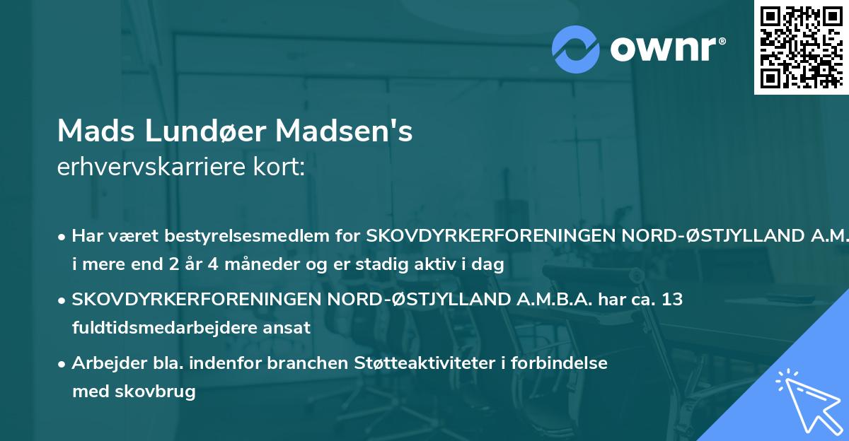 Mads Lundøer Madsen's erhvervskarriere kort