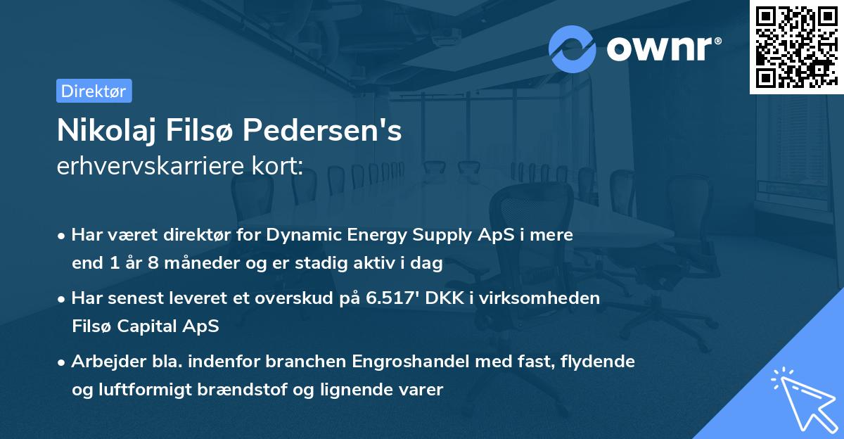 Nikolaj Filsø Pedersen's erhvervskarriere kort