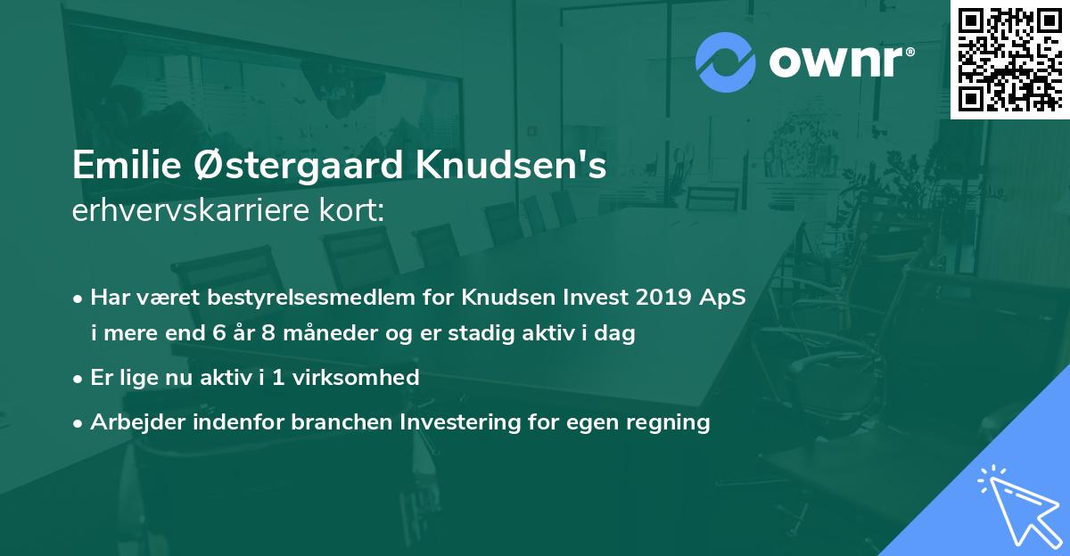 Emilie Østergaard Knudsen's erhvervskarriere kort