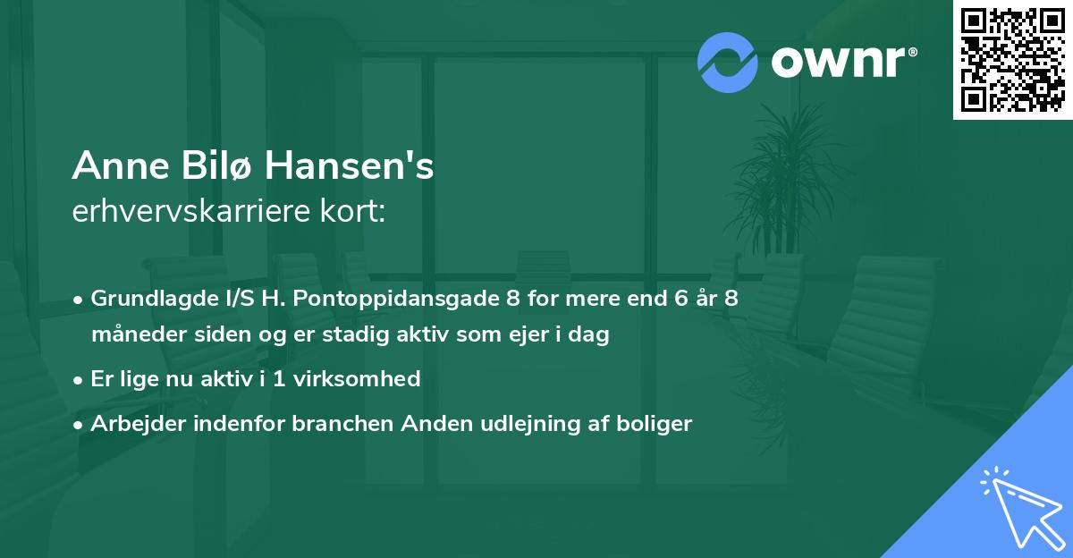 Anne Bilø Hansen's erhvervskarriere kort
