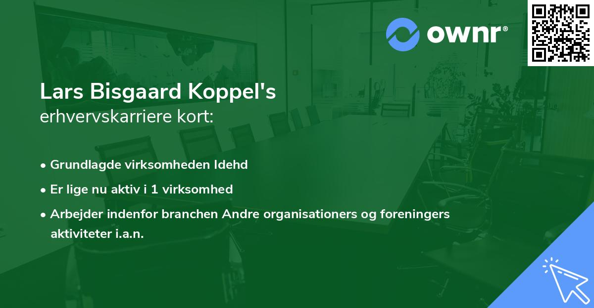 Lars Bisgaard Koppel's erhvervskarriere kort