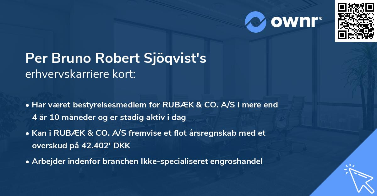 Per Bruno Robert Sjöqvist's erhvervskarriere kort