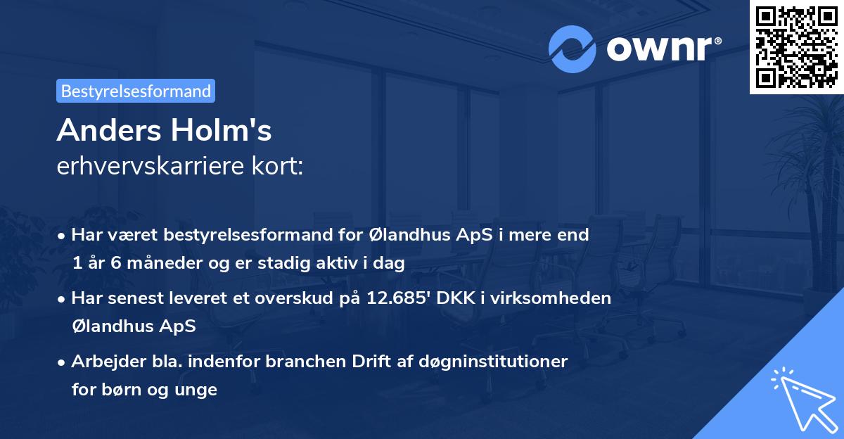Anders Holm's erhvervskarriere kort