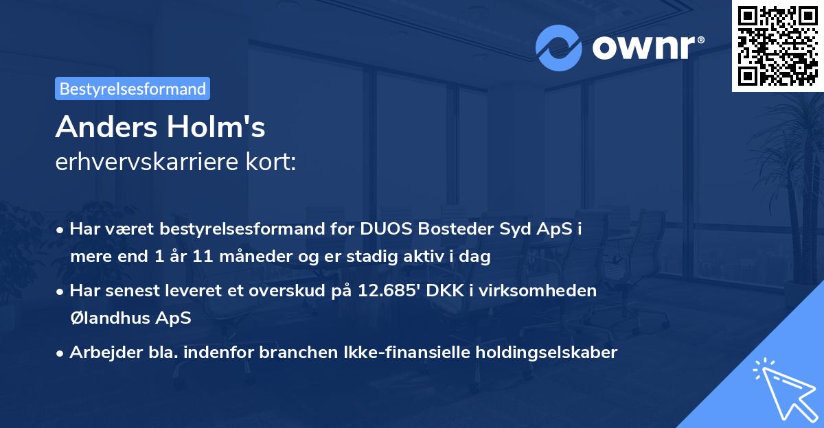 Anders Holm's erhvervskarriere kort