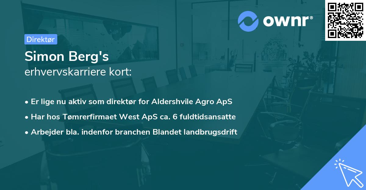 Simon Berg's erhvervskarriere kort