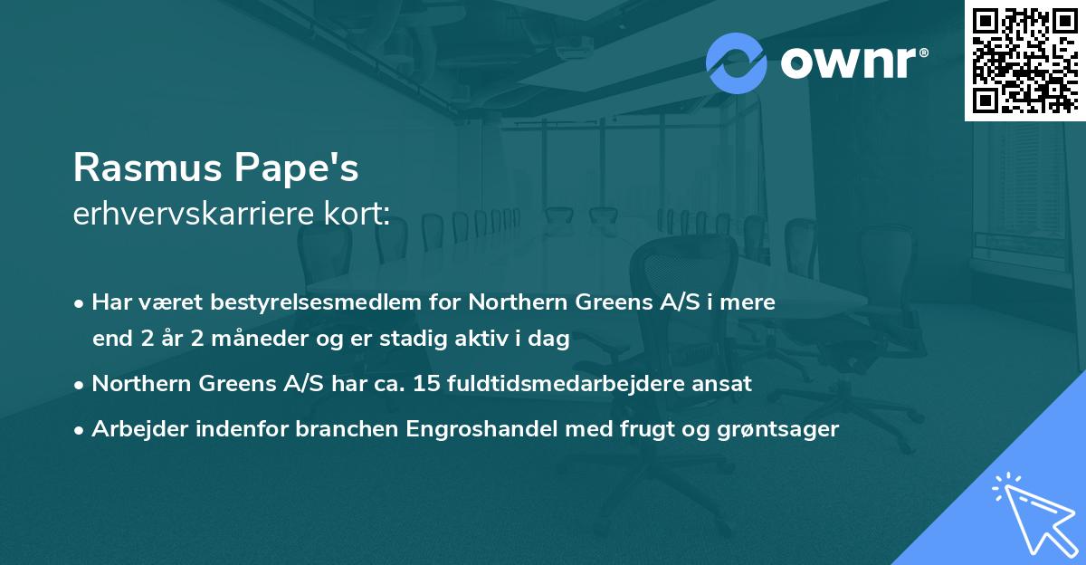 Rasmus Pape's erhvervskarriere kort