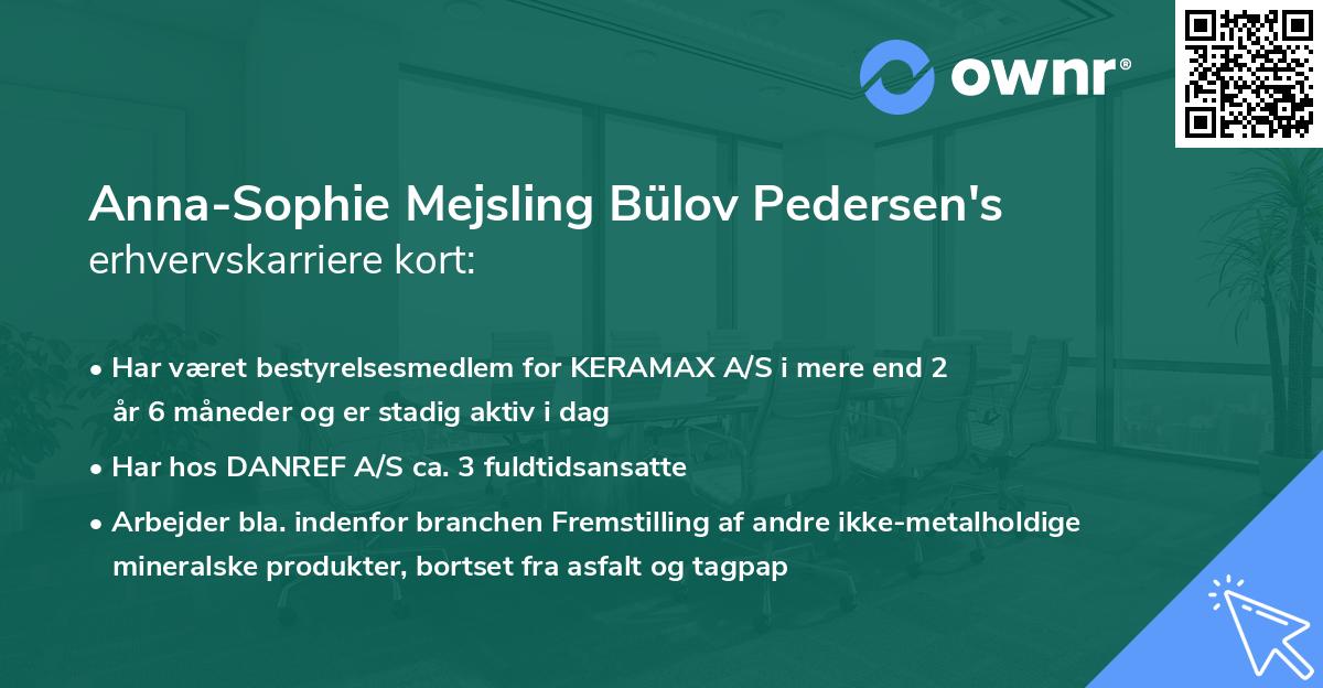 Anna-Sophie Mejsling Bülov Pedersen's erhvervskarriere kort