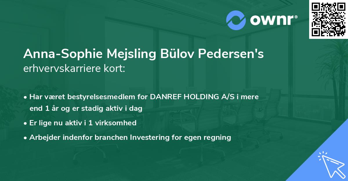 Anna-Sophie Mejsling Bülov Pedersen's erhvervskarriere kort