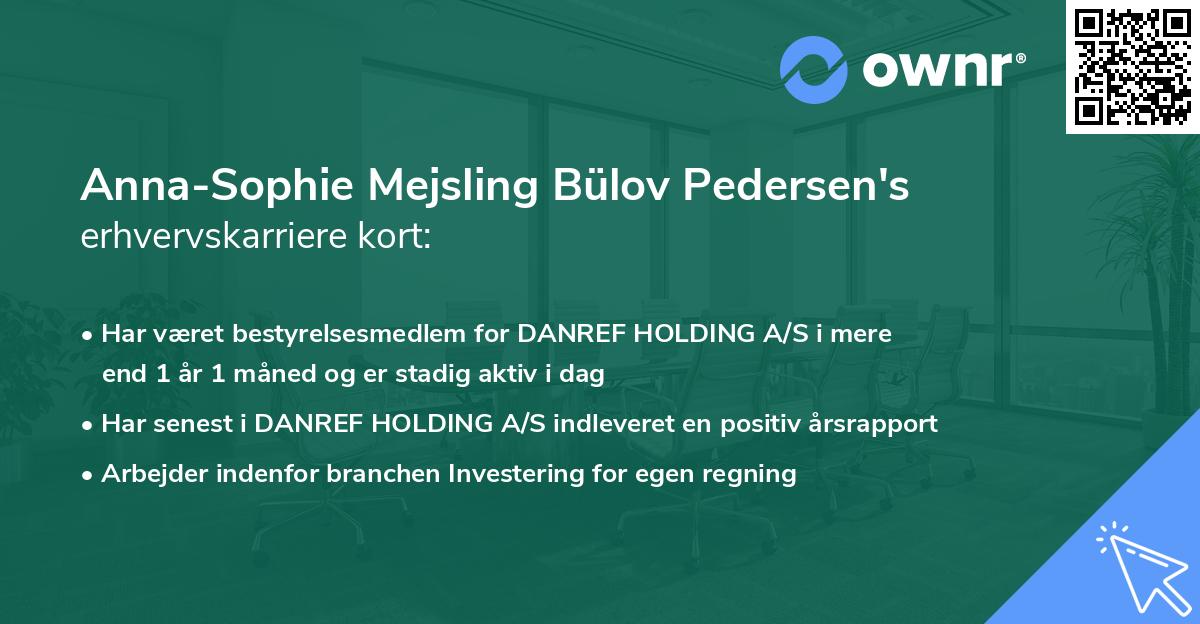 Anna-Sophie Mejsling Bülov Pedersen's erhvervskarriere kort