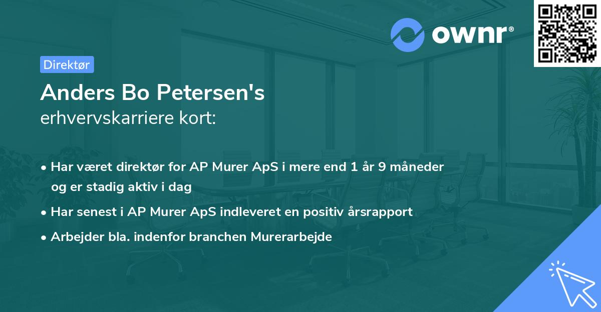 Anders Bo Petersen's erhvervskarriere kort