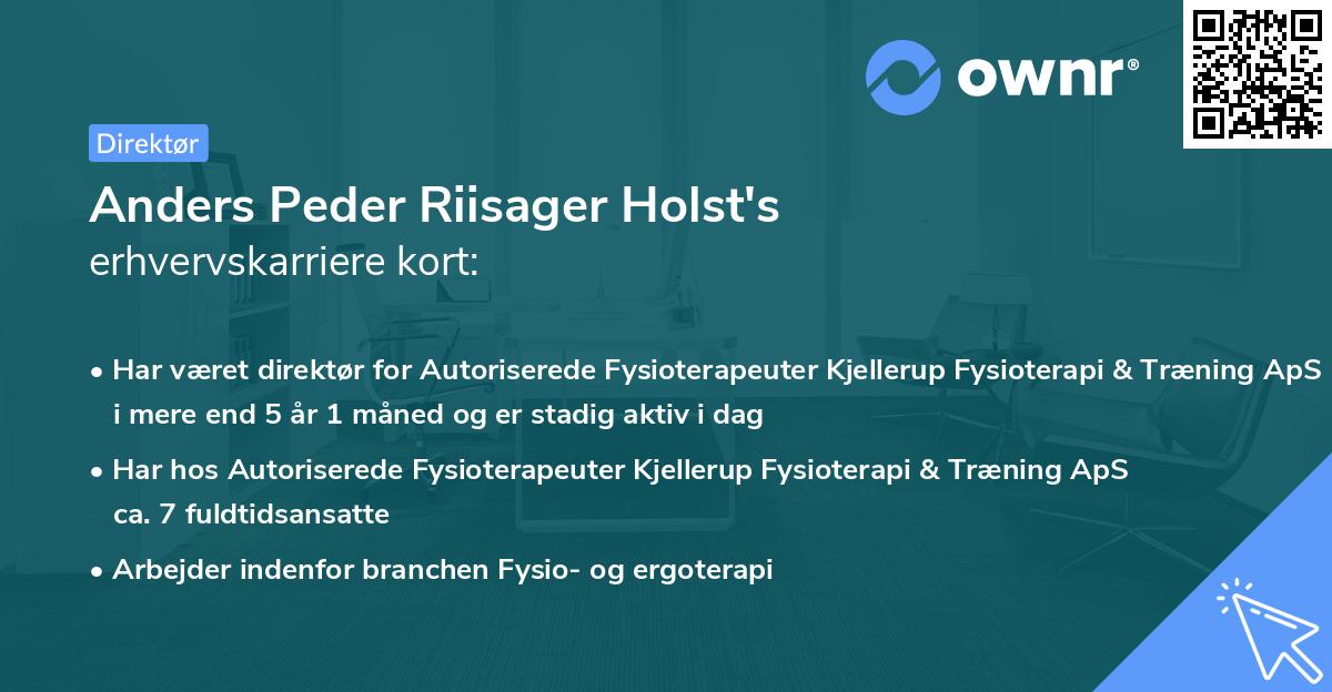 Anders Peder Riisager Holst's erhvervskarriere kort