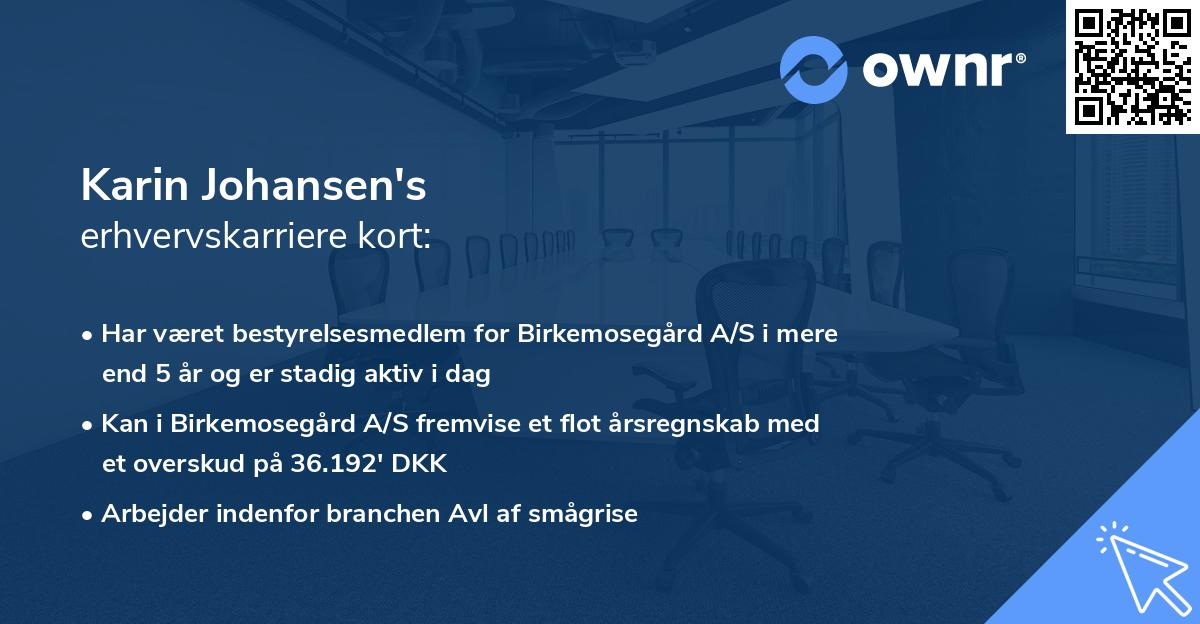 Karin Johansen's erhvervskarriere kort