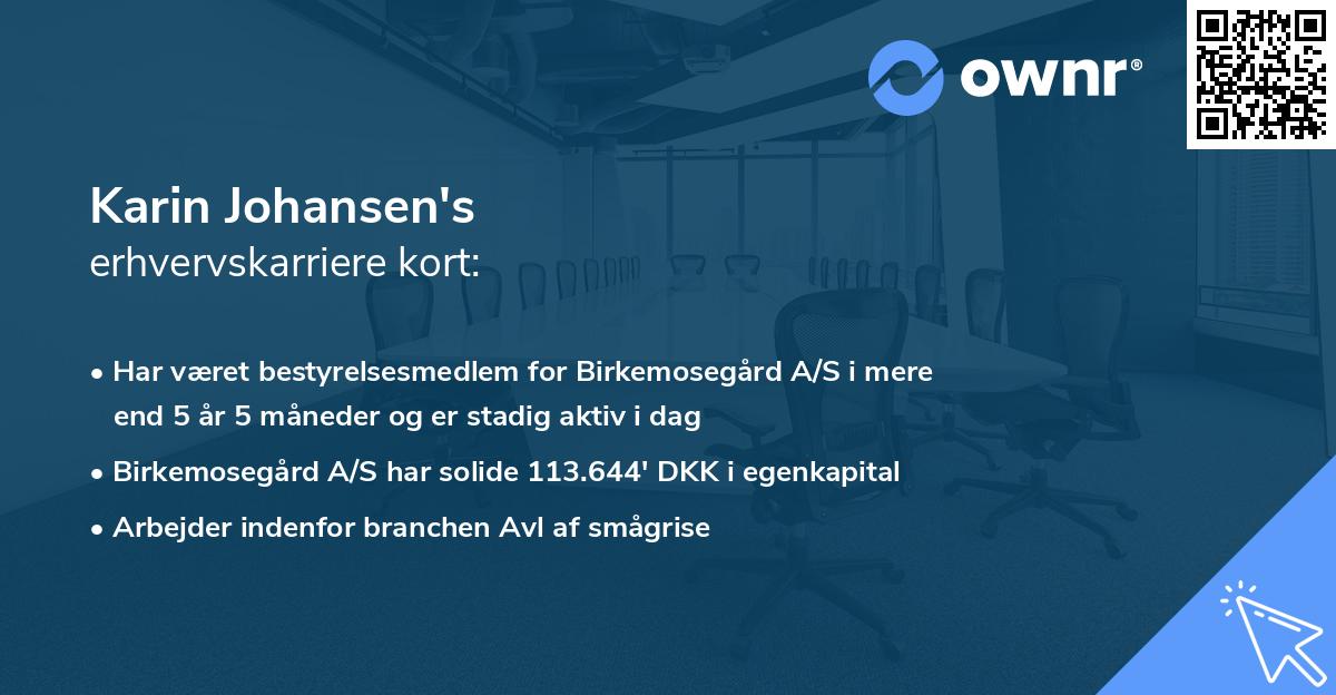 Karin Johansen's erhvervskarriere kort