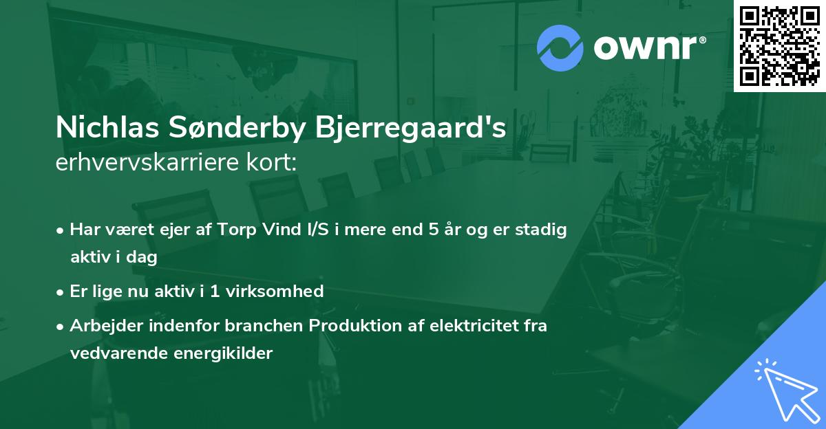 Nichlas Sønderby Bjerregaard's erhvervskarriere kort