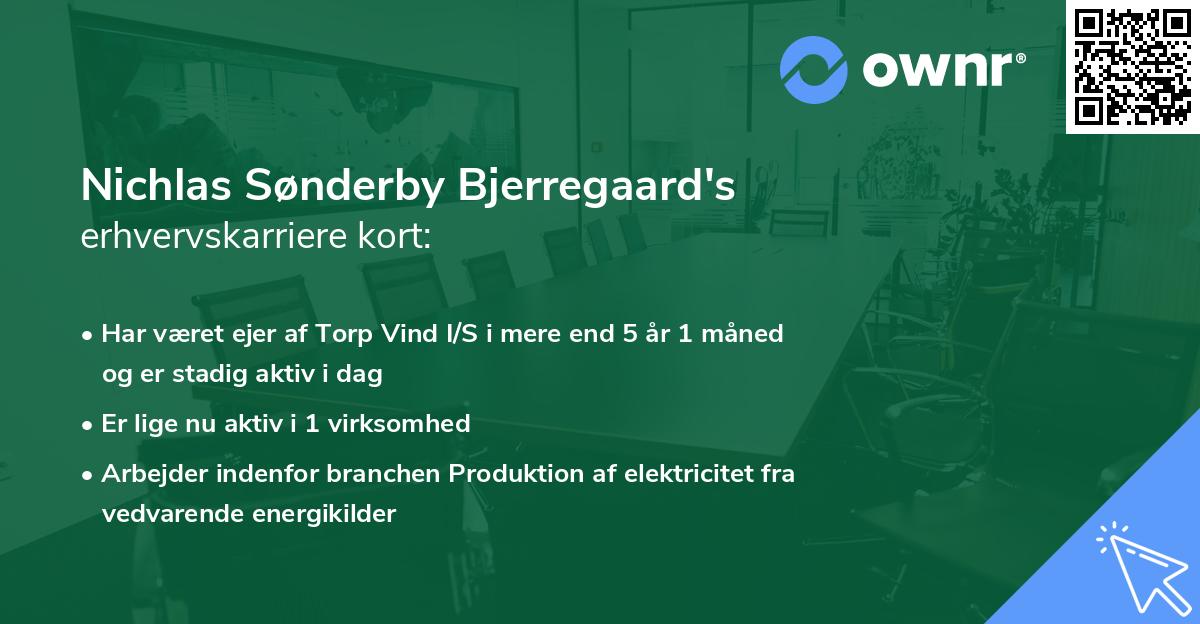 Nichlas Sønderby Bjerregaard's erhvervskarriere kort