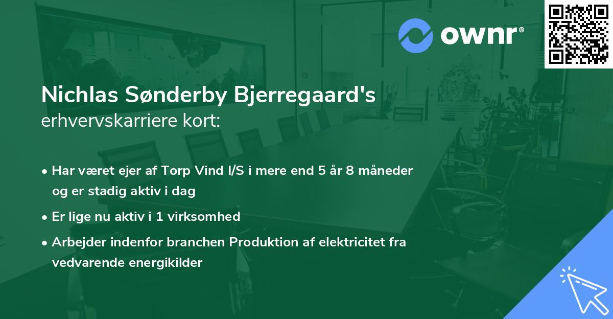 Nichlas Sønderby Bjerregaard's erhvervskarriere kort
