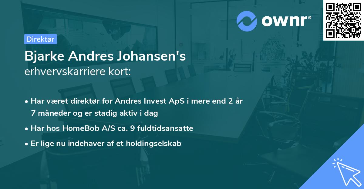 Bjarke Andres Johansen's erhvervskarriere kort