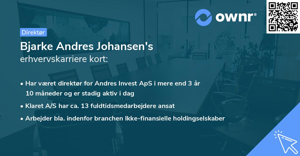 Bjarke Andres Johansen's erhvervskarriere kort