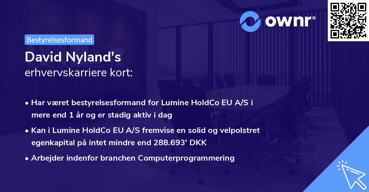 David Nyland's erhvervskarriere kort