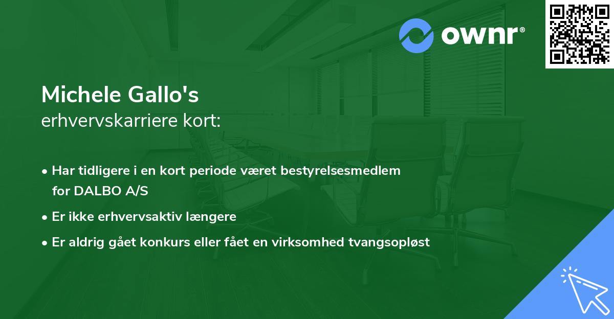 Michele Gallo's erhvervskarriere kort