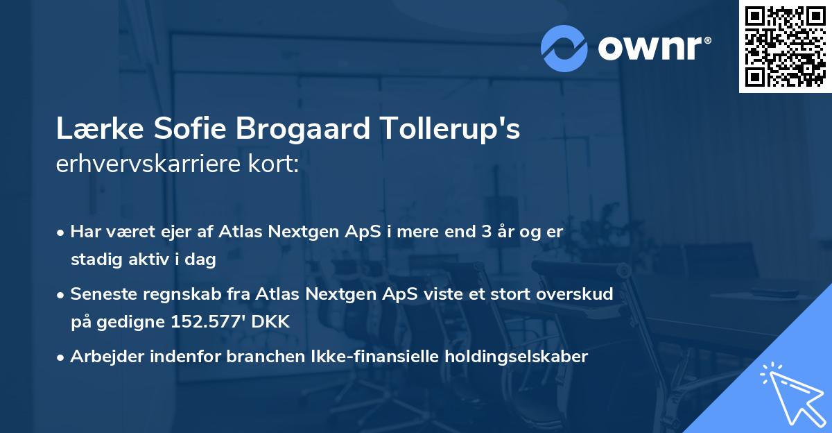 Lærke Sofie Brogaard Tollerup's erhvervskarriere kort