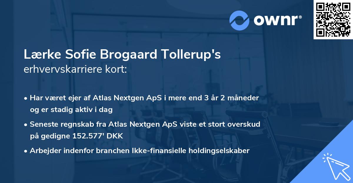 Lærke Sofie Brogaard Tollerup's erhvervskarriere kort