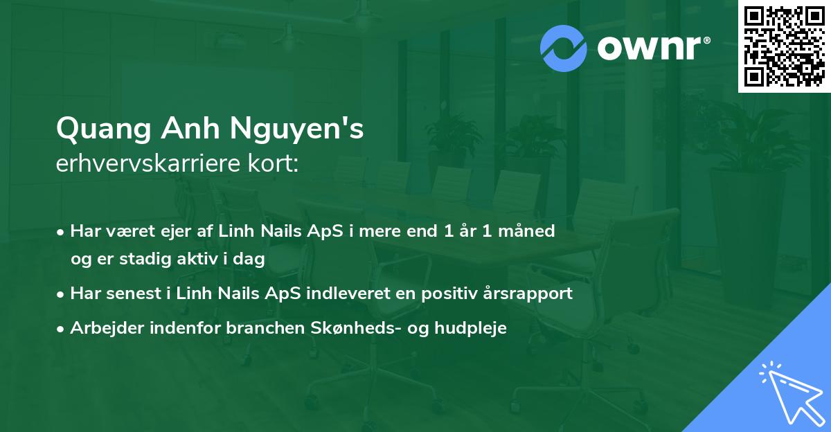 Quang Anh Nguyen's erhvervskarriere kort