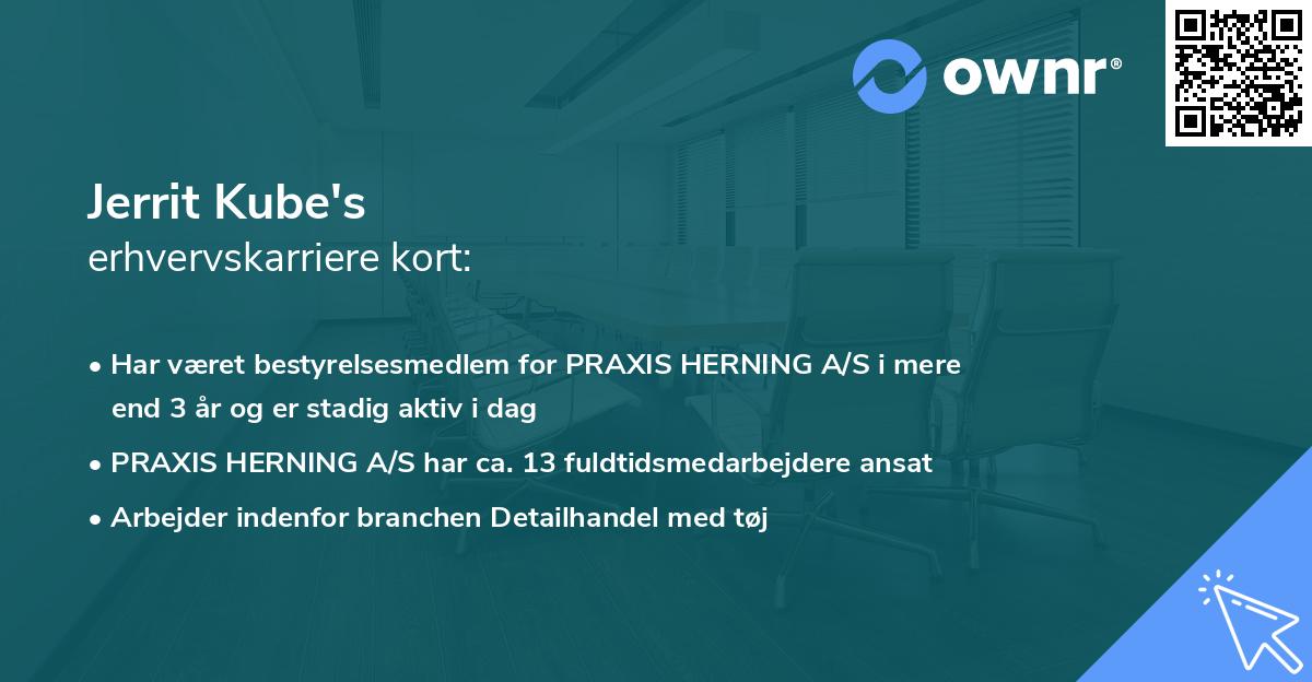 Jerrit Kube's erhvervskarriere kort