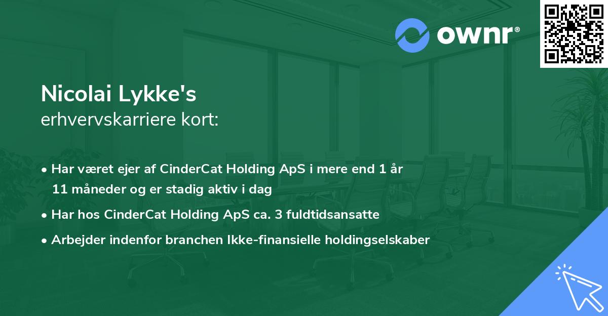 Nicolai Lykke's erhvervskarriere kort