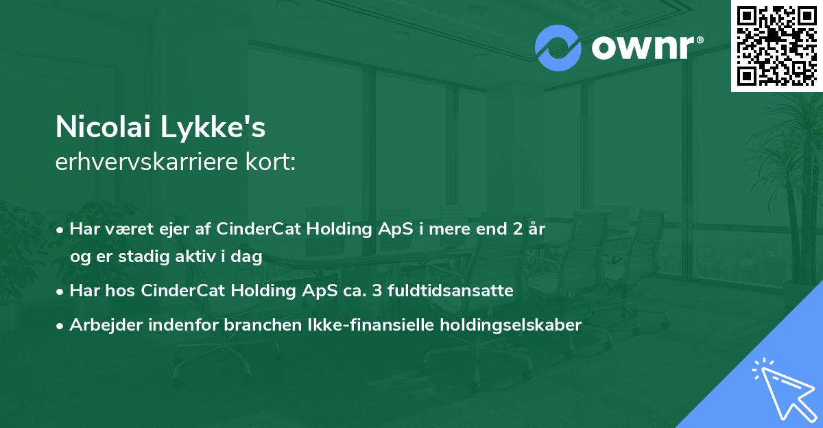 Nicolai Lykke's erhvervskarriere kort