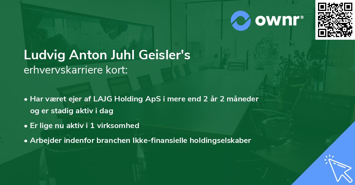 Ludvig Anton Juhl Geisler's erhvervskarriere kort
