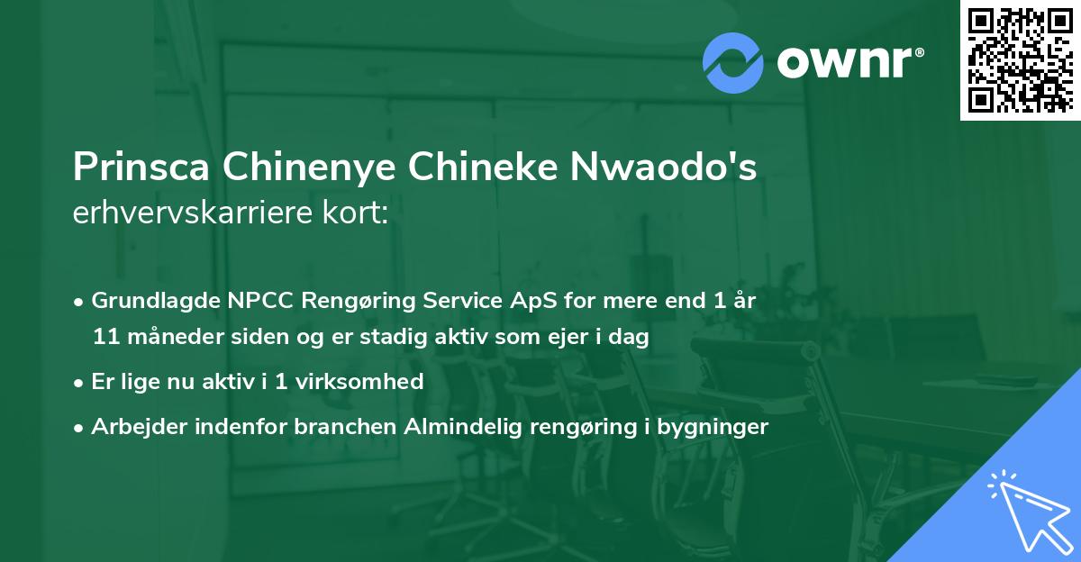 Prinsca Chinenye Chineke Nwaodo's erhvervskarriere kort