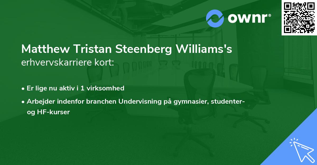 Matthew Tristan Steenberg Williams's erhvervskarriere kort