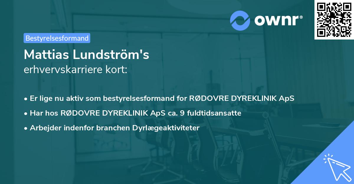 Mattias Lundström's erhvervskarriere kort