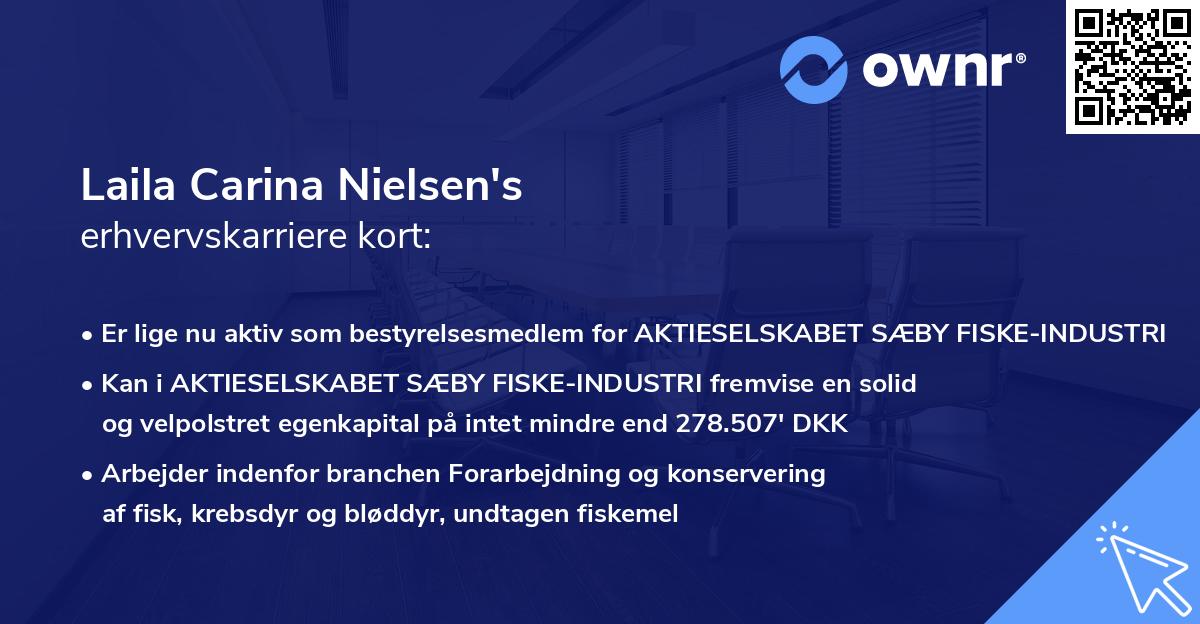Laila Carina Nielsen's erhvervskarriere kort