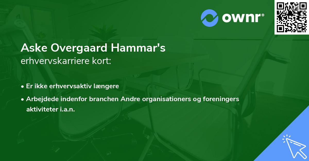 Aske Overgaard Hammar's erhvervskarriere kort