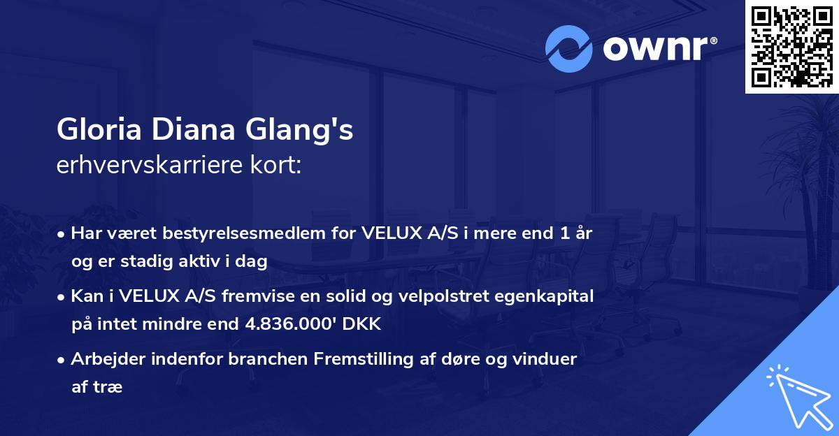 Gloria Diana Glang's erhvervskarriere kort