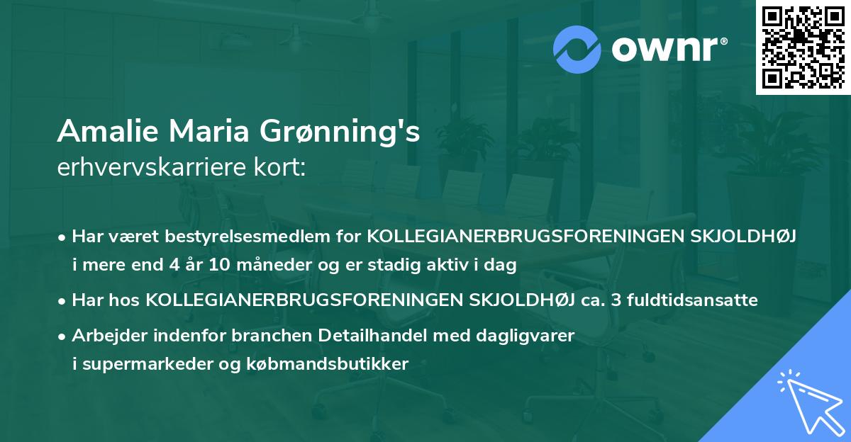 Amalie Maria Grønning's erhvervskarriere kort
